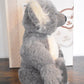 Steiff Koala Ted Teddy Bear 661792 Growler Limited Edition Boxed Retired