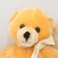 Merrythought Babies First Teddy Bear Mohair Limited Edition Retired Signed Tag