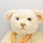 Steiff The Millenium Teddy Bear Danbury Mint Exclusive 654701 Retired Tagged