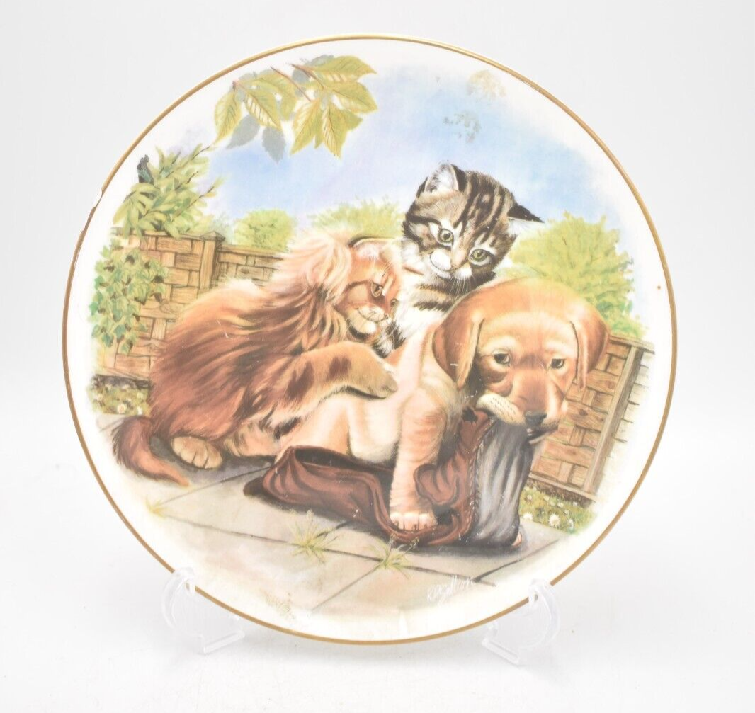 Vintage Royal Albert Playful Friends Find Your Own Shoe Collectors Display Plate