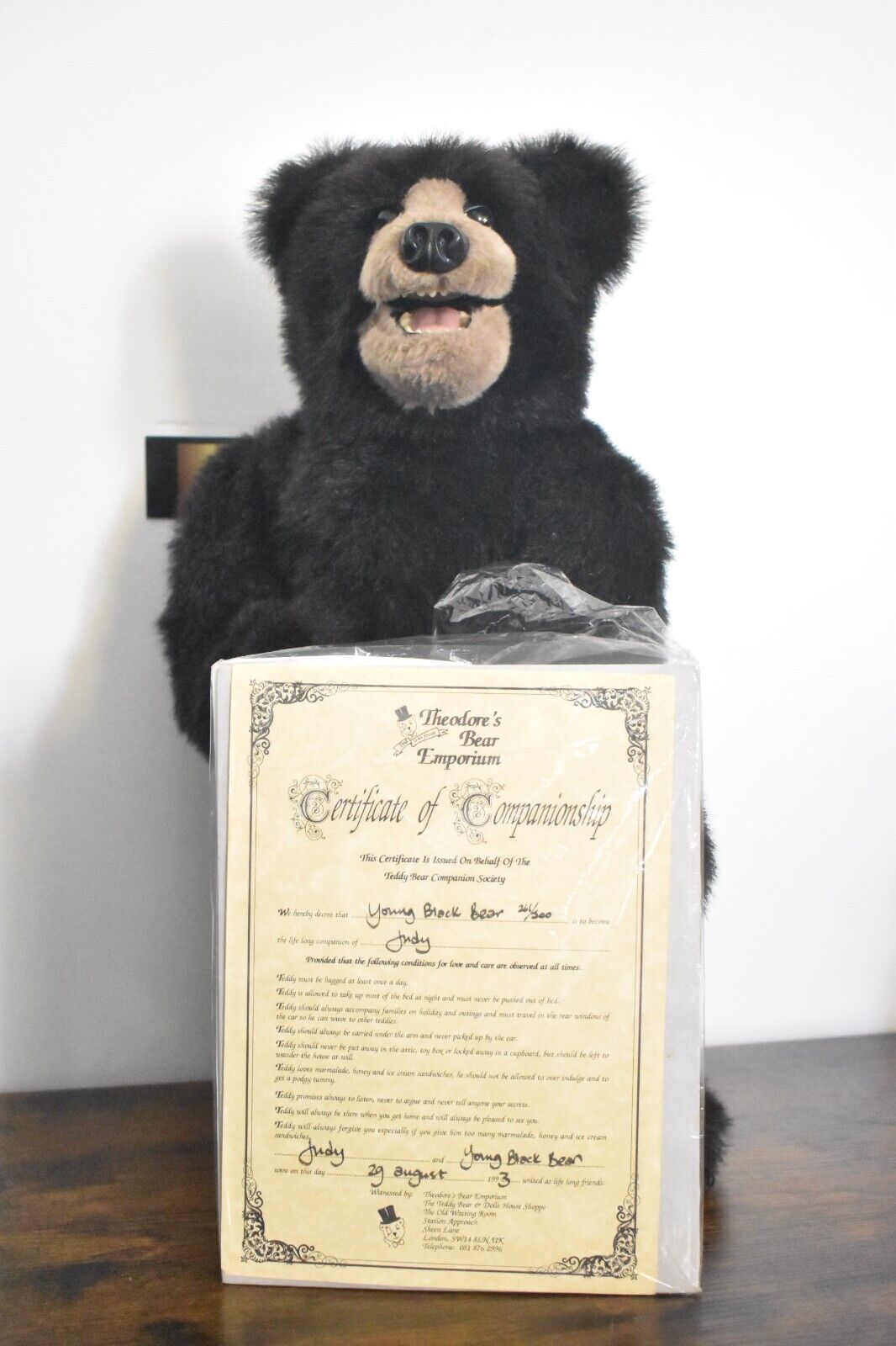 Vintage Artist Teddy Bear by Kaylee Nilan Beaver Valley Young Black Bear