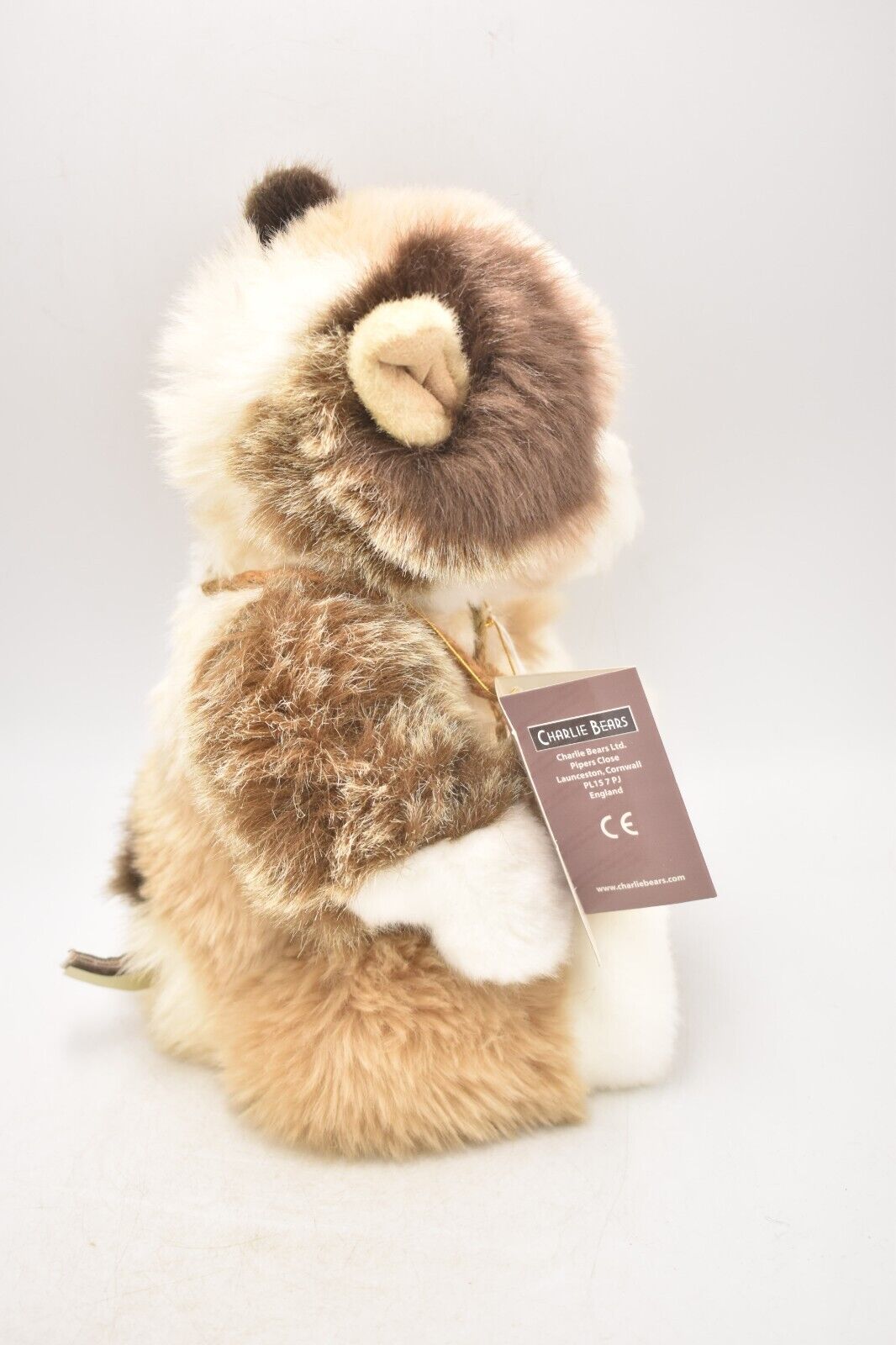 Charlie Bears Cavey Guinea Pig Retired & Tagged Isabelle Lee Designed