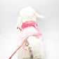 Keel Toys Fifi White Poodle Dog with Pink Coat & Lead, Retired & Tagged