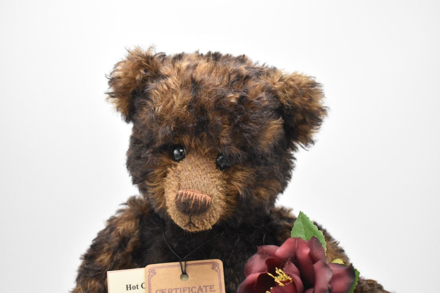 Robin Rive Hot Chocolate Artist Teddy Bear Limited Edition Tagged