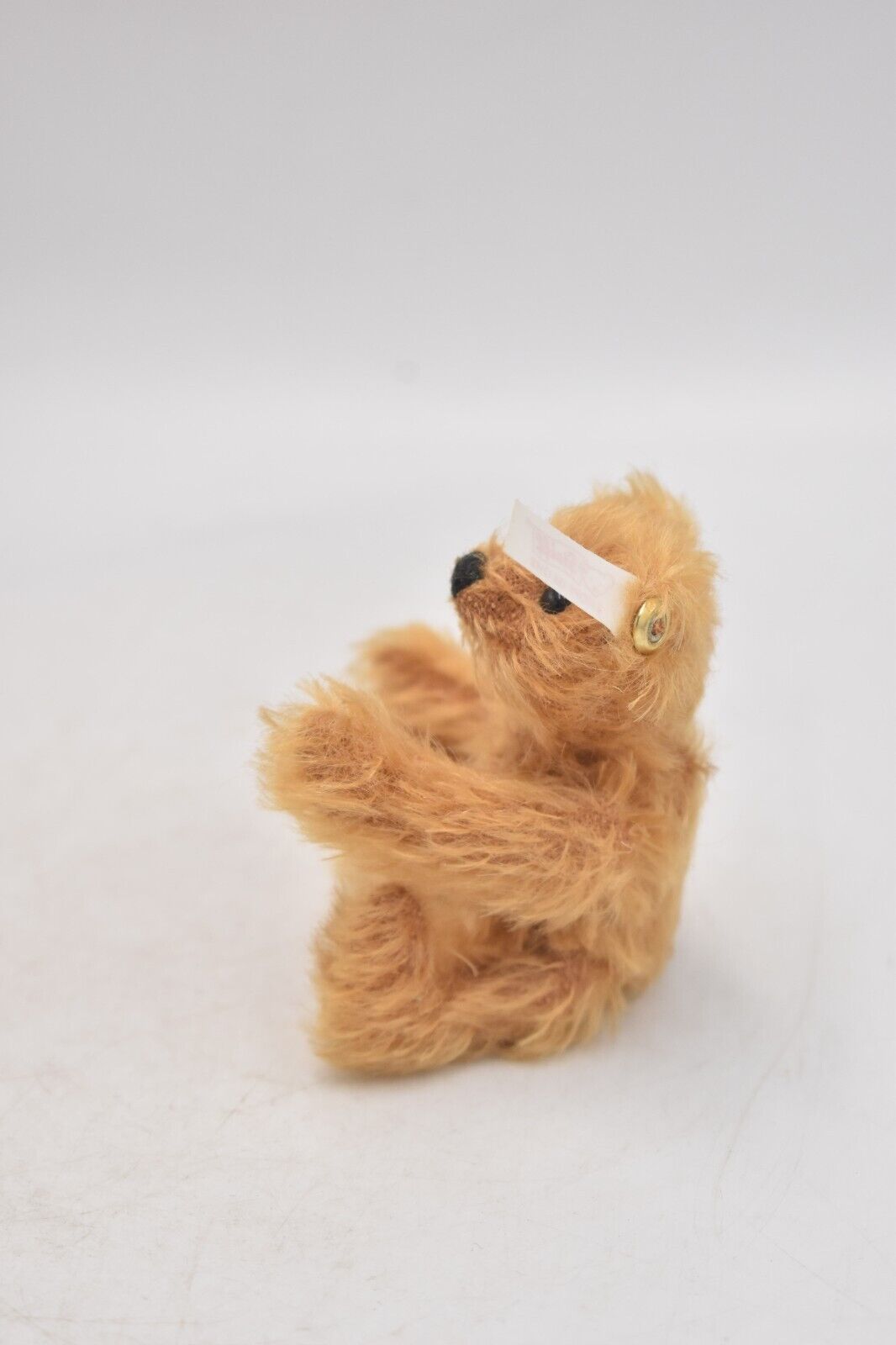 Steiff 2002 Club Gift Miniature Cinnamon Mohair Bear 420269 Retired Boxed