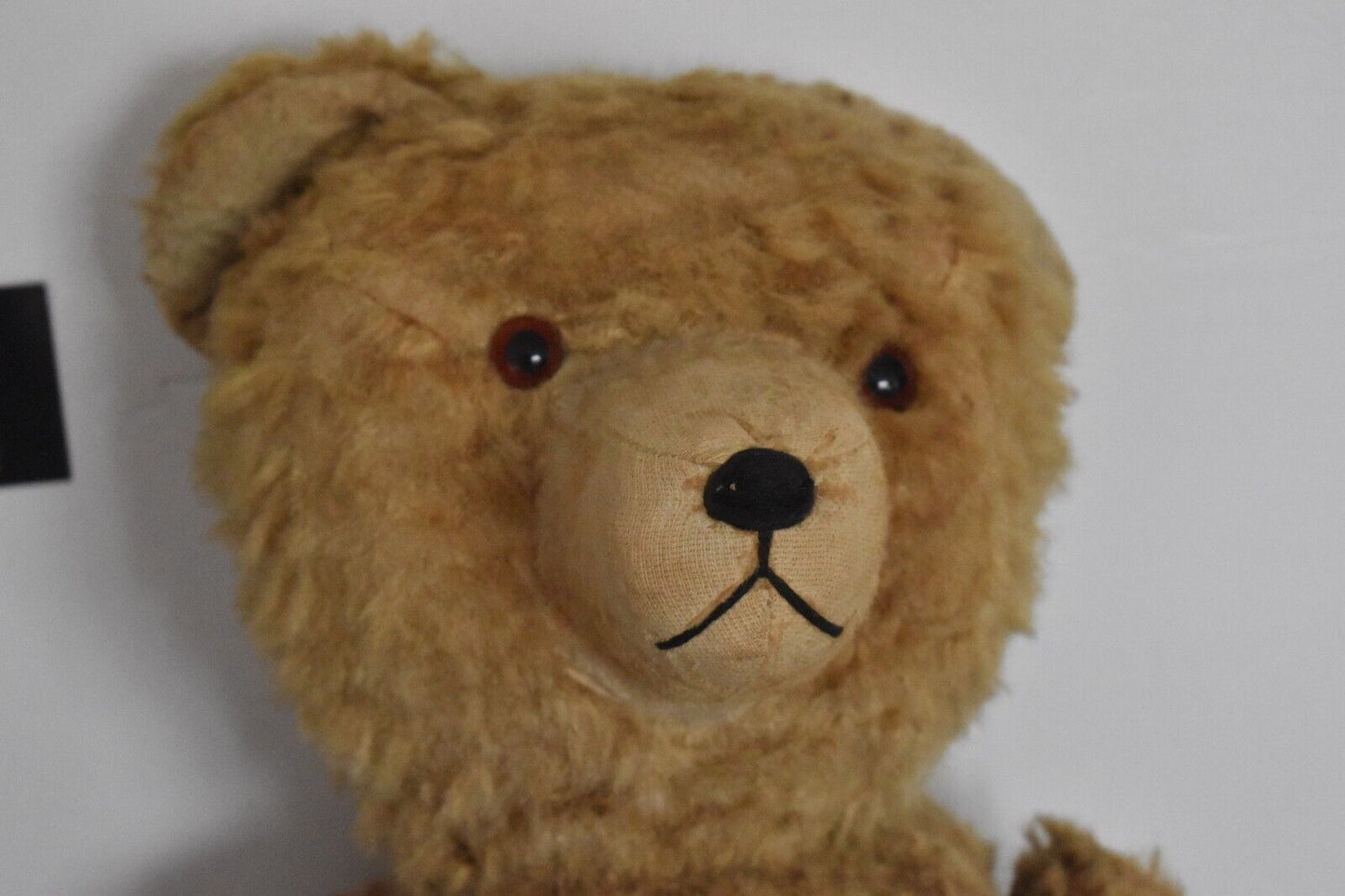 Vintage 1950's German Hermann Extra Large Mohair Teddy Bear