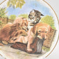 Vintage Royal Albert Playful Friends Find Your Own Shoe Collectors Display Plate