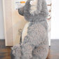 Steiff Koala Ted Teddy Bear 661792 Growler Limited Edition Boxed Retired