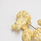 Vintage Poodle Dog Cream and Gold Brooch - Women's Jewellery