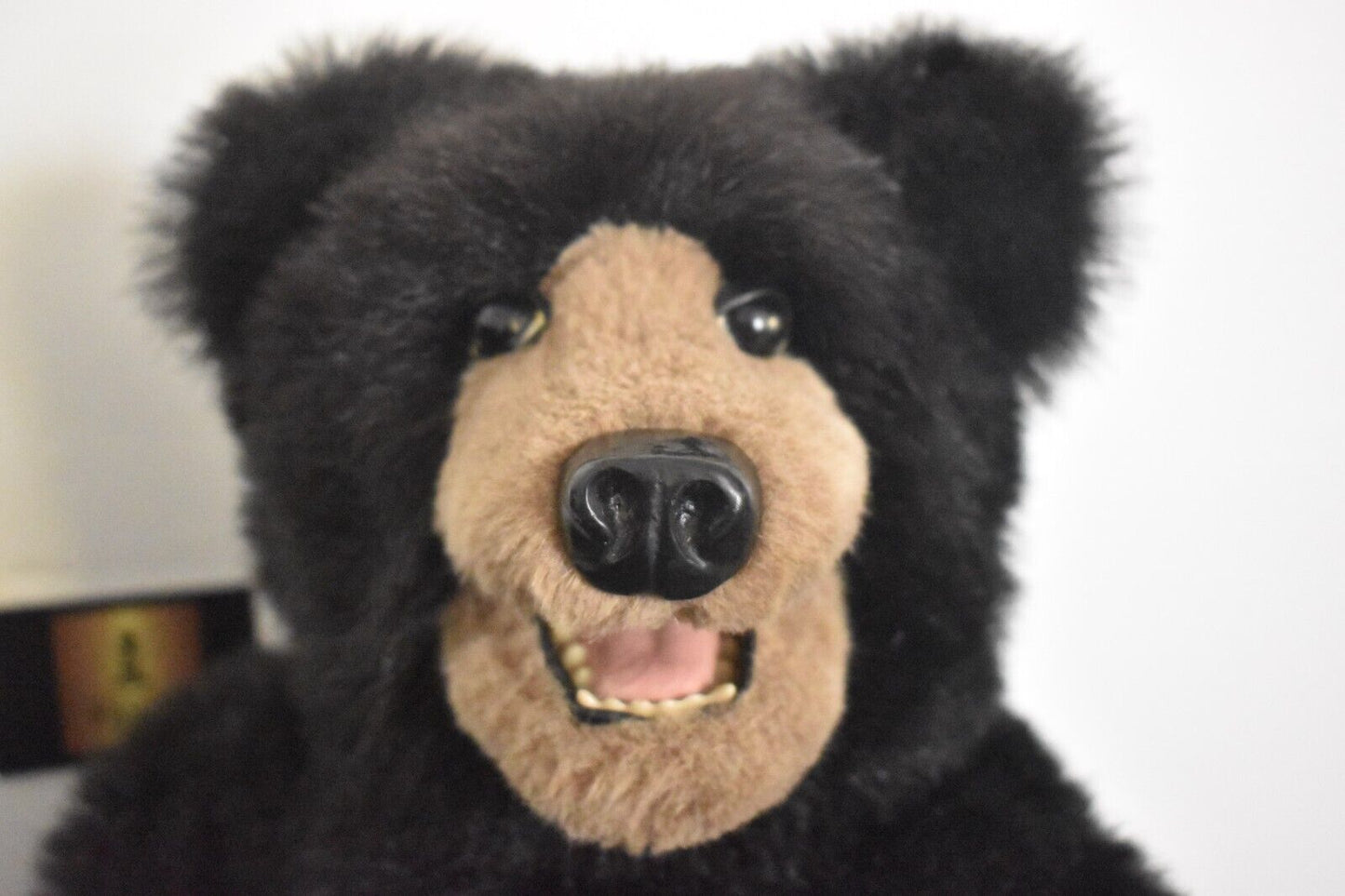 Vintage Artist Teddy Bear by Kaylee Nilan Beaver Valley Young Black Bear