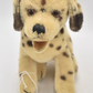 Vintage 1950's Steiff Dalmatian Dog Retired