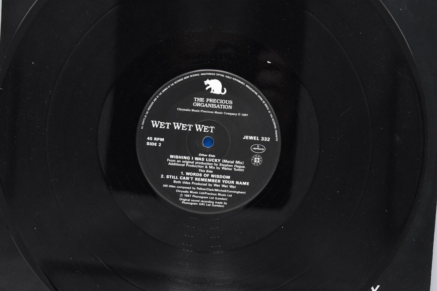 Wet Wet Wet Wishing I was Lucky 12" Vinyl Record Single 1987