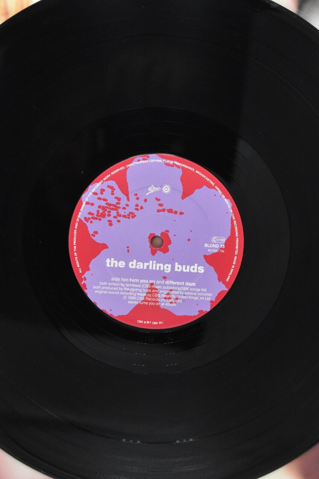 The Darling Buds Let's Go Round There 12" Vinyl Record Single 1989