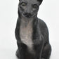 Vintage 1988 Castagna Black Cat Figurine/ Statue/ Ornament